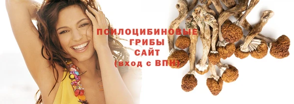 PSILOCYBIN Баксан
