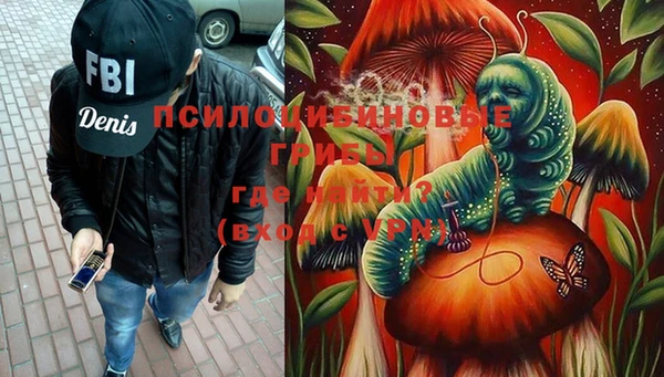 PSILOCYBIN Баксан