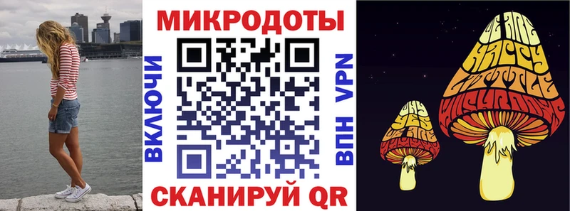 купить  цена  Новодвинск  Галлюциногенные грибы мицелий 